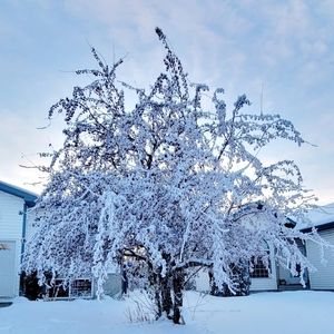 Meet your Posher, Kai